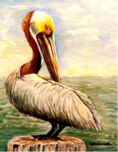 "Pelican at Rest" Gulf Waters