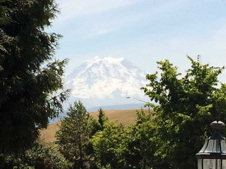 Mount Rainier at a distance.