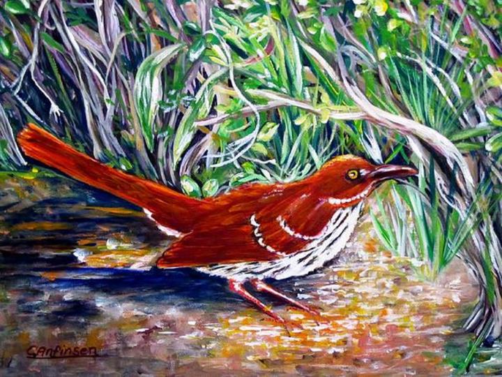 "Brown Thrasher" 16x20 acrylic with overlapping paint on barn wood frame